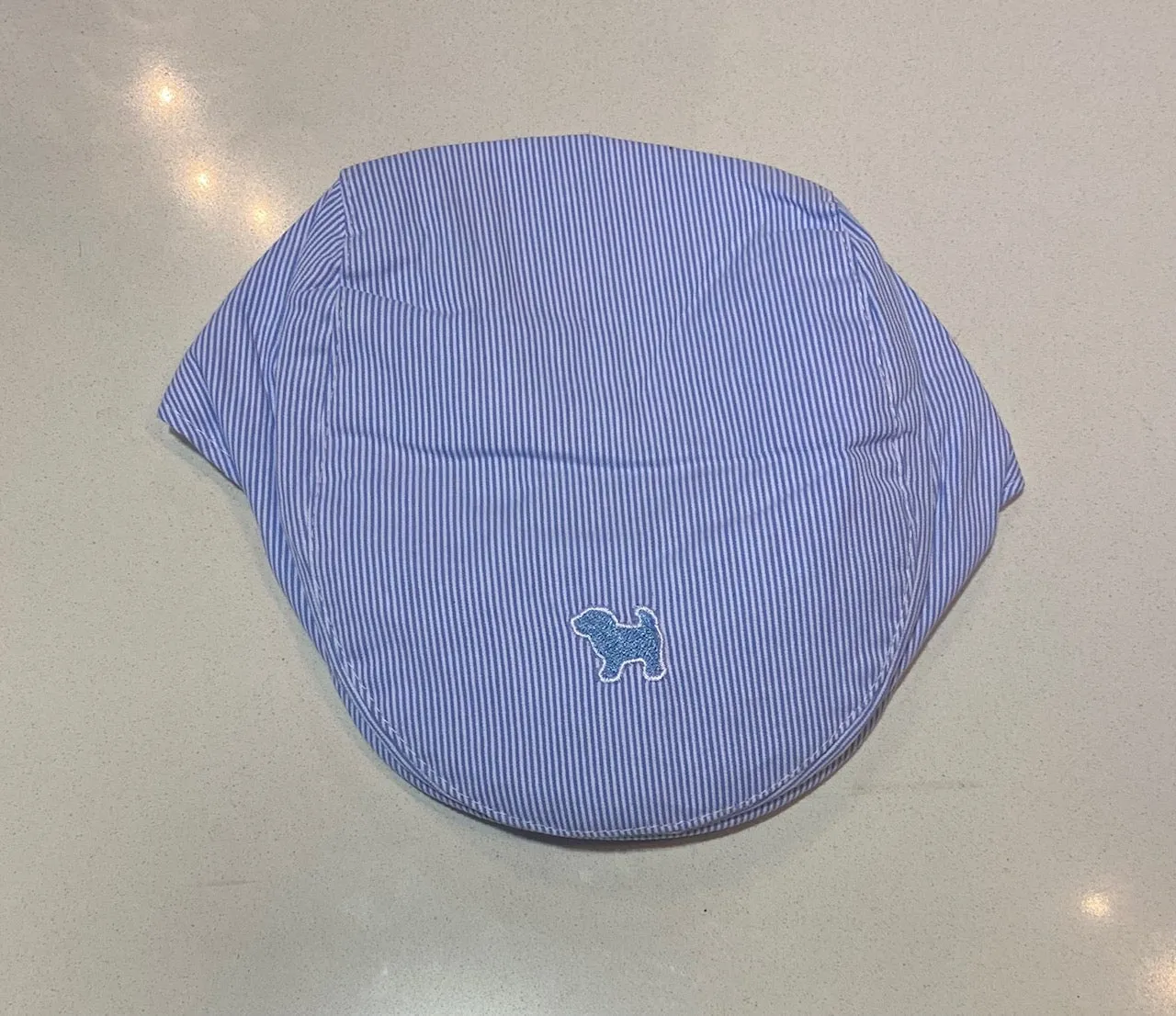 Blue Stripe Embroidered Dog Beret Hat