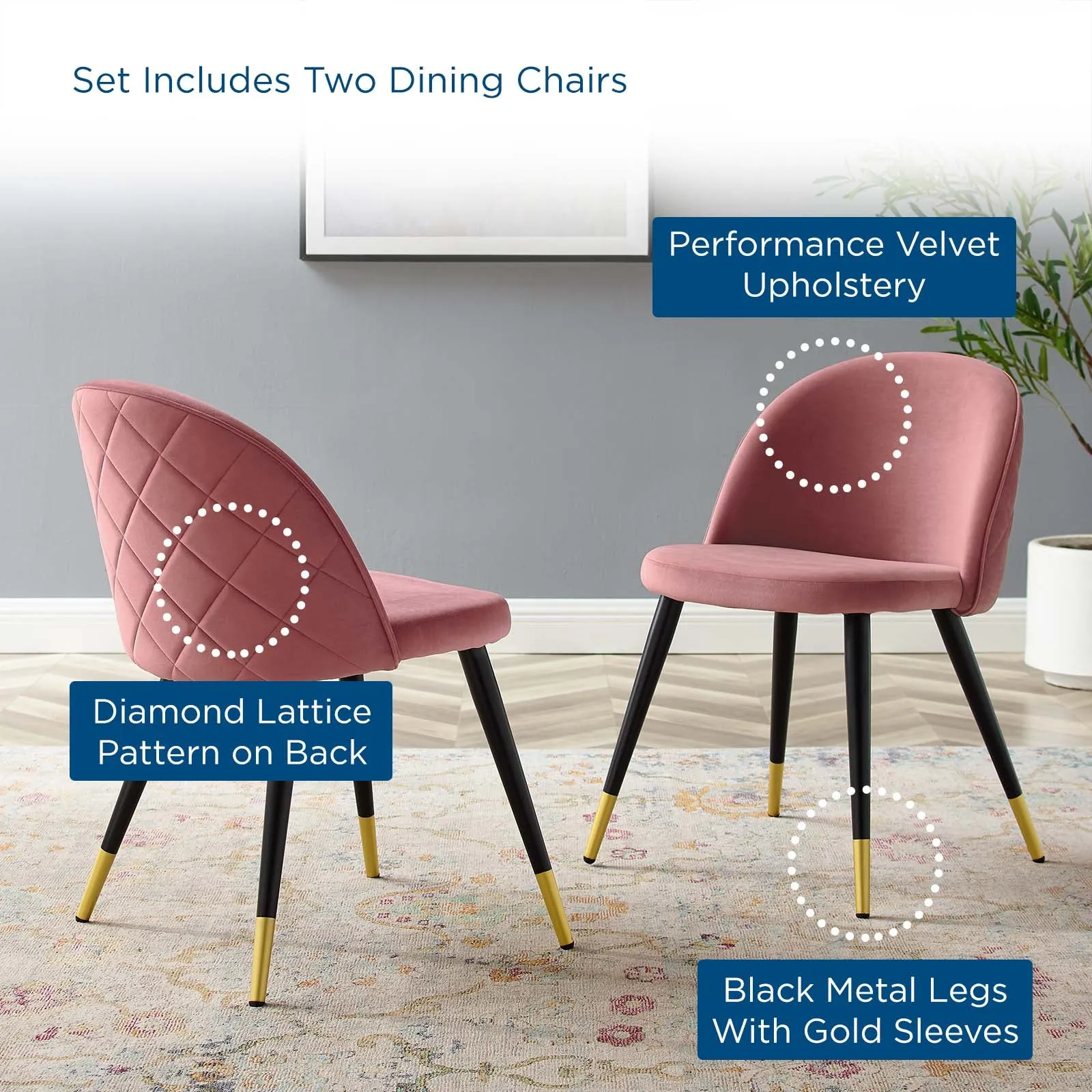 Cordial Performance Velvet Dining Chairs - Set of 2